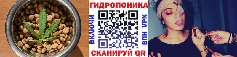 дарнет шоп  Черняховск  Canna-Cookies марихуана 