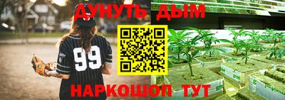 шишки Канаш