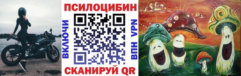 Галлюциногенные грибы MAGIC MUSHROOMS  Черняховск 