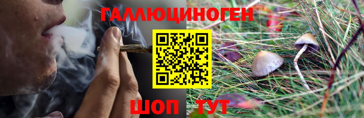 Галлюциногенные грибы мухоморы  Вход с VPN  Черняховск 