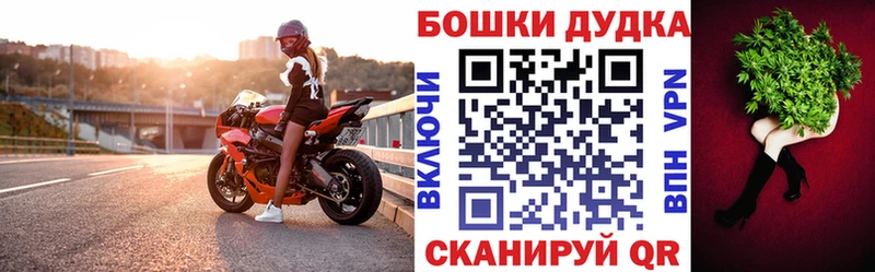 Бошки Шишки ГИДРОПОН Черняховск